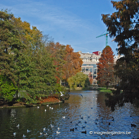 Bruxelles: Parc Léopold